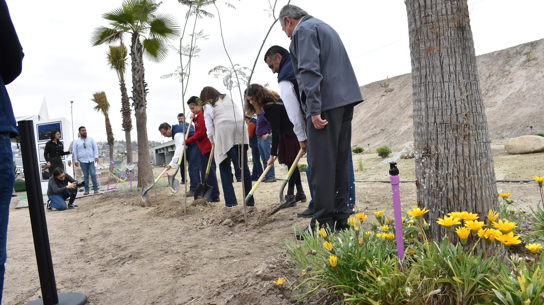 conexion del proyecto morado (6)